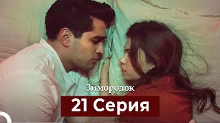 Зимородок 21 Cерия (Русский дубляж)