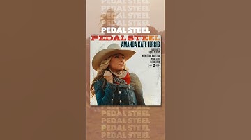 Thumbnail of Pedal Steel 3.10 ❤️