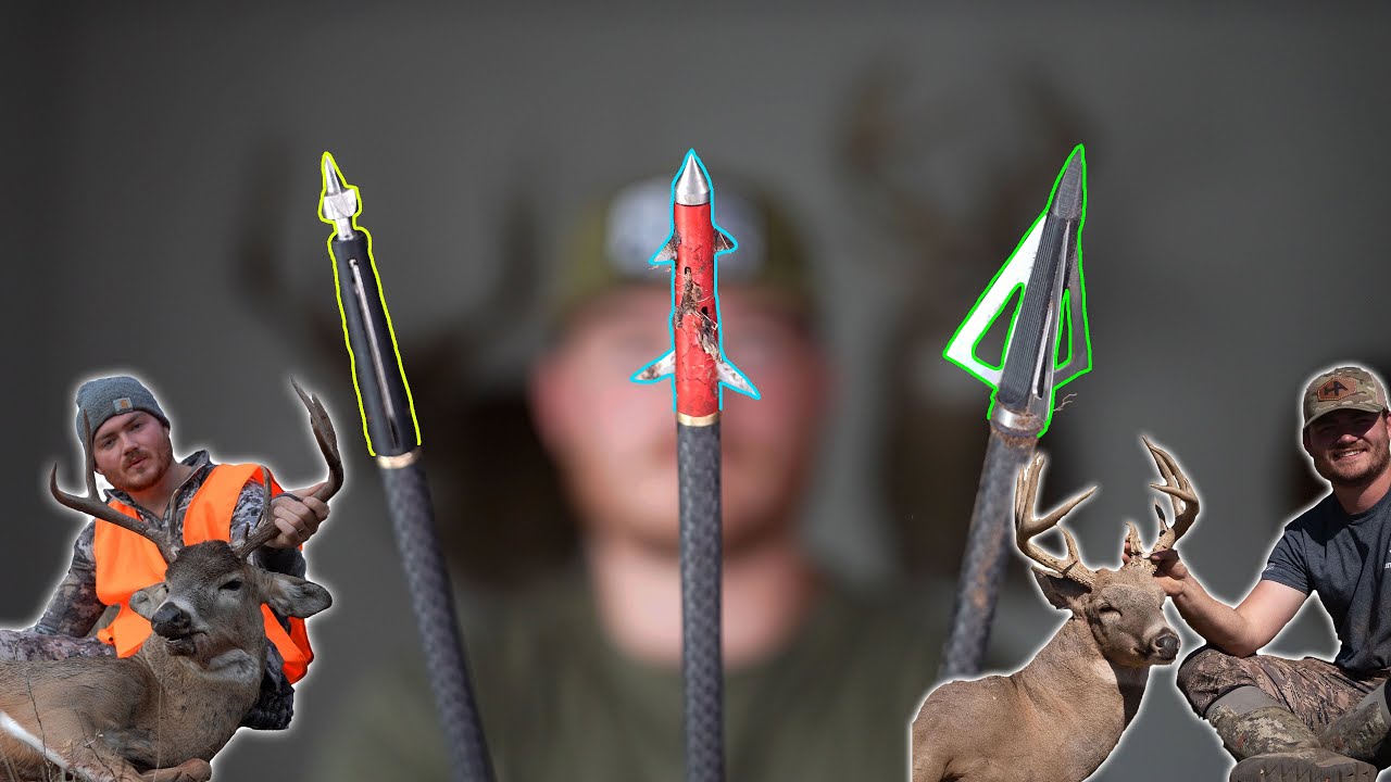 We Tested 3 NEW Broadheads On DEER! Showing Kill Shot Evidence YouTube