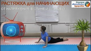 Растяжка для начинающих / Избавление от напряжения в спине и суставах Растяжка для начинающих / Избавление от напряжения в спине и суставах