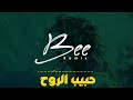 BEE REMIX 2025 ريمكس حبيب الروح BEE REMIX 2025 ريمكس حبيب الروح