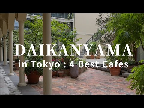 Shinjuku: A Captivating City with Nightspots and Lush Green Areas｜4 Best Cafes in Tokyo, Japan