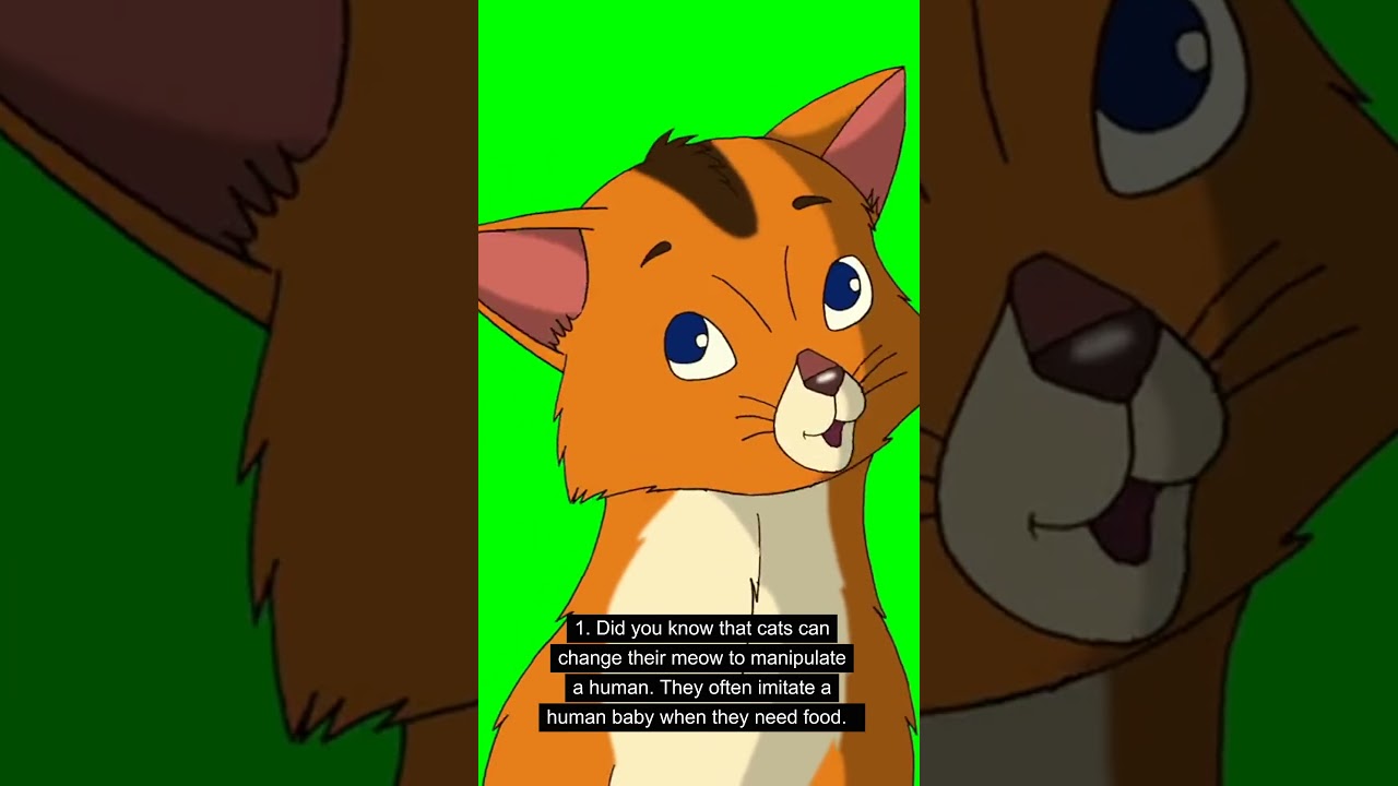 Exploring 3 Captivating Cat Facts! 