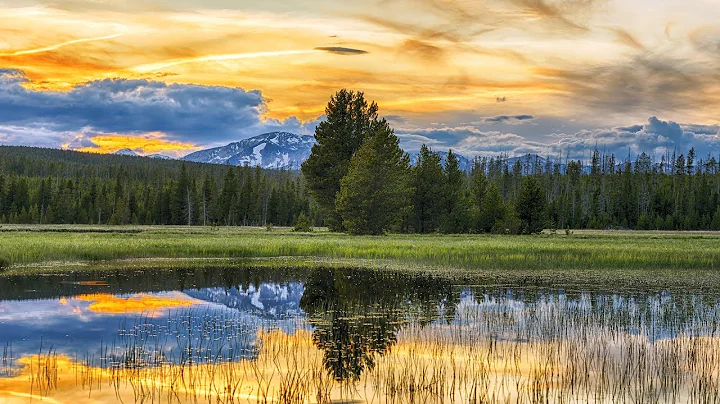 Peaceful music, Relaxing music, Instrumental Music...