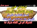 سعر الكتكوت اسعار الكتاكيت اليوم الاربعاء 28-1-2026 في جميع الشركات في مصر 