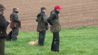 GSC Open Trial Sunday 2017