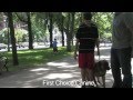 Off-Leash Obedience Training By First Choice Canine In Boston, MA Off-Leash Obedience Training By First Choice Canine In Boston, MA