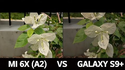 XIAOMI MI 6X (A2) VS SAMSUNG GALAXY S9 PLUS CAMERA TEST COMPARISON
