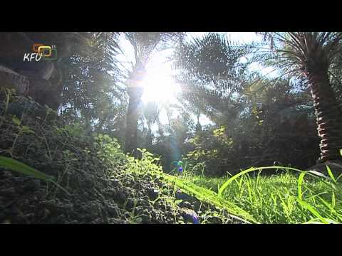 عدسة الجامعة الحلقة 38 1436