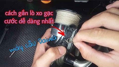 Cách lắp lò xo gạc cước của máy câu Daiwa đơn giản nhất