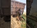 Using Animal Waste as Fertilizer for Crops