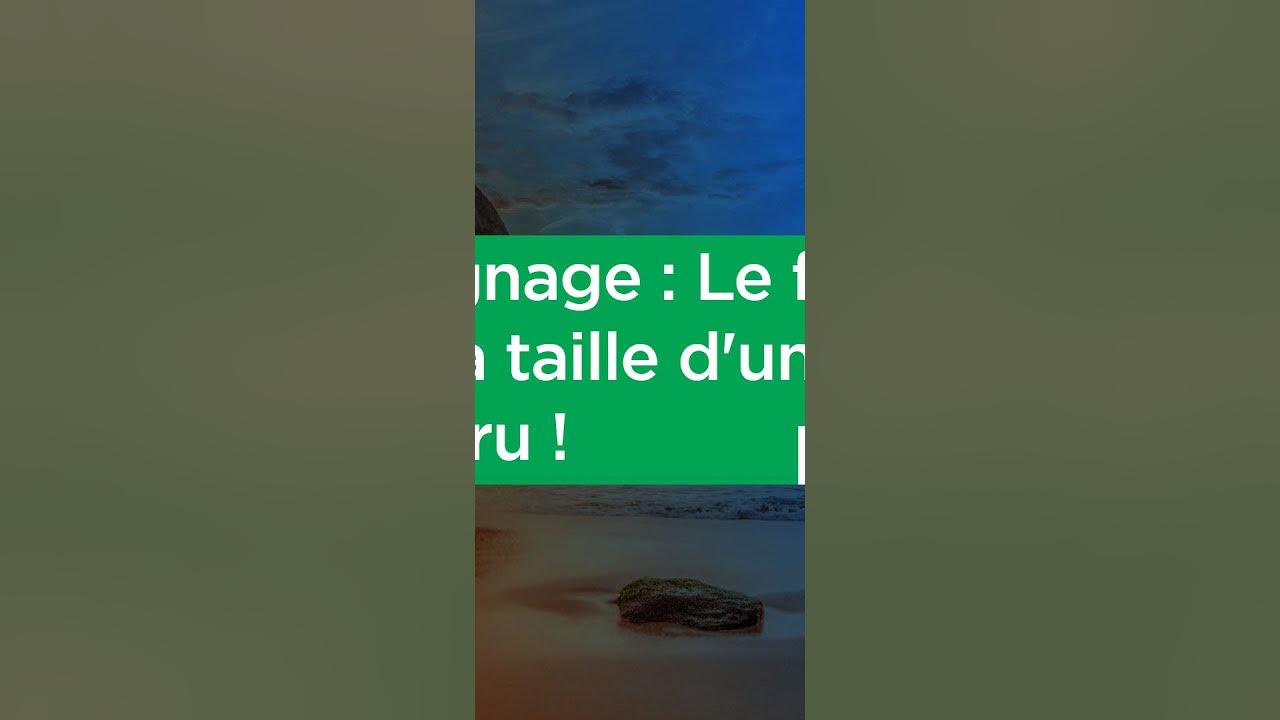 Témoignage Le fibrome ayant la taille d