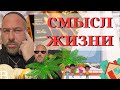 Смысл жизни | Как не упустить важный момент в жизни | есть ли мир грядущий, ад и рай? |