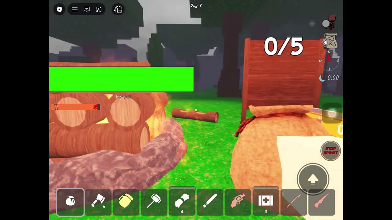 Max campfire on Day 8.