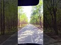 Lalgarh jungle road view @HakimVlog_786
