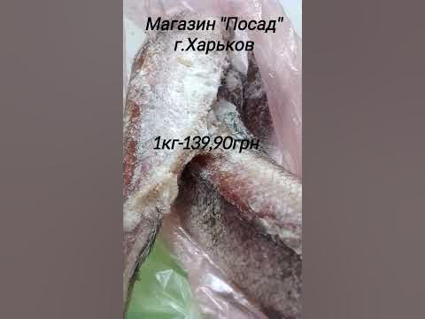 Цена на рыбу хек #хек #рыба #цена #ценывукраине #продуктыпитания ...