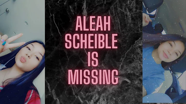 MISSING: Aleah Scheible (Interview with father Ros...