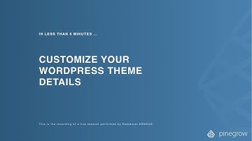 How to customize the appearance of the Details menu of your WordPress theme created with Pinegrow