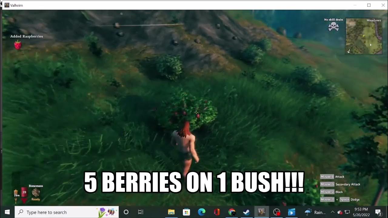 Valheim Berry Glitch!!! YouTube
