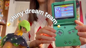 i beat pokemon ruby using only shinies ٩(ˊᗜˋ*)و