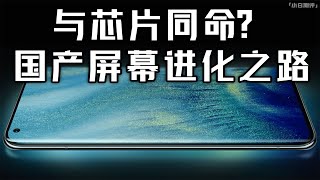 「小白測評」 好的手機屏幕為什麼這麼難？國產屏幕進化之路