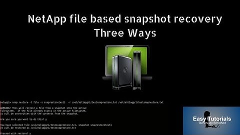 Netapp FIle based Snapshot Recovery from Three ways