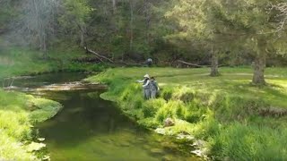 Fishing the Driftless Area | Minnesota Bound