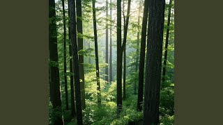 Download Lagu Hati Dalam Suara Hati MP3