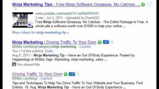 Ninja Marketing Strategies - Google Plus