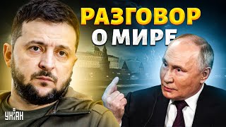 Переговоры С Путиным? В Кремле Заговорили О Мире. Киев Назвал Свои Условия: Москва В Тупике