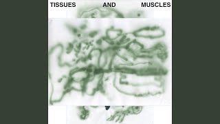 Tissuesandmuscles
