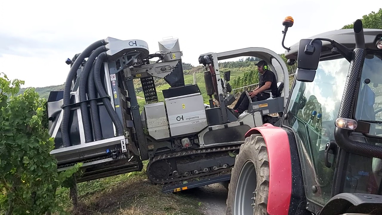 #6 Der Steillagen Vollernter in Aktion