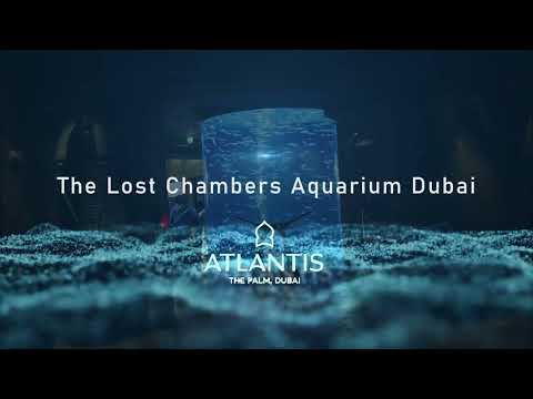 Atlantis  Lost Chambers Aquarium