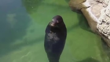 No need to be upset 10 HOURS LONG!!