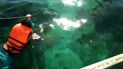 oliver boracay trip 2013