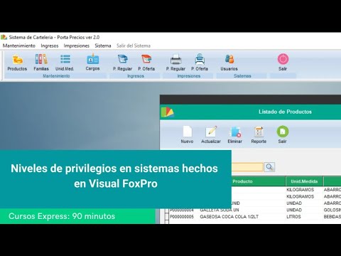 🔥Niveles de Privilegios en Sistema hechos en Visual FoxPro   Curso Express