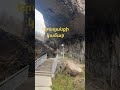 Երազանքի կամար #shorts #yummy #ytshorts