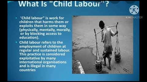 MLZS JHANSI CLASS 3 EVS Chapter 15 Occupation in the Neighborhood Lecture 1