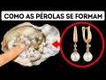 Como e Por Que as Ostras Fazem Pérolas?