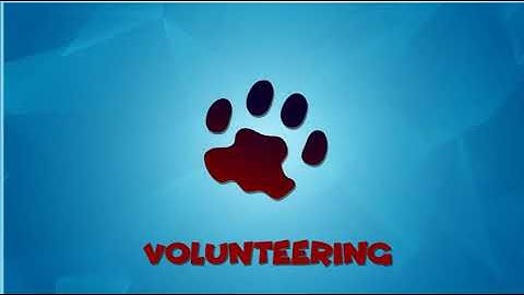 Excel 9. Module 4. Vounteering