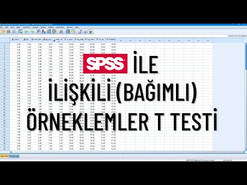 SPSS İle İlişkili