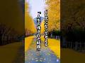 60代になって考える『人生の残された時間』#名言 #名言集 #心に響く言葉