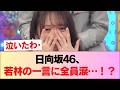 【日向坂46】若林さん「今日で...」衝撃告白にメンバー全員涙!?【ひなあい】 #日向坂46 #日向坂 #日向坂で会いましょう #乃木坂46 #櫻坂46