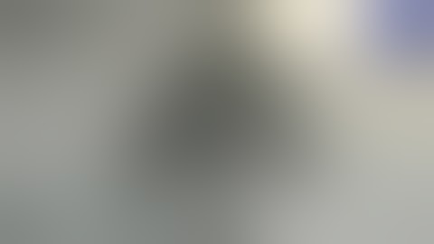 Shadow Of The Colossus - Aethersx2