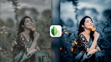 snapseed editing realistic effect new trick | blue and dark tone editing | background change editing