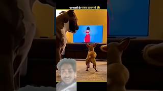 Funny Animals Video 2026 😂 जानवरों के गजब कारनामें 😅 #funny​ #funnyanimals​ #shorts​