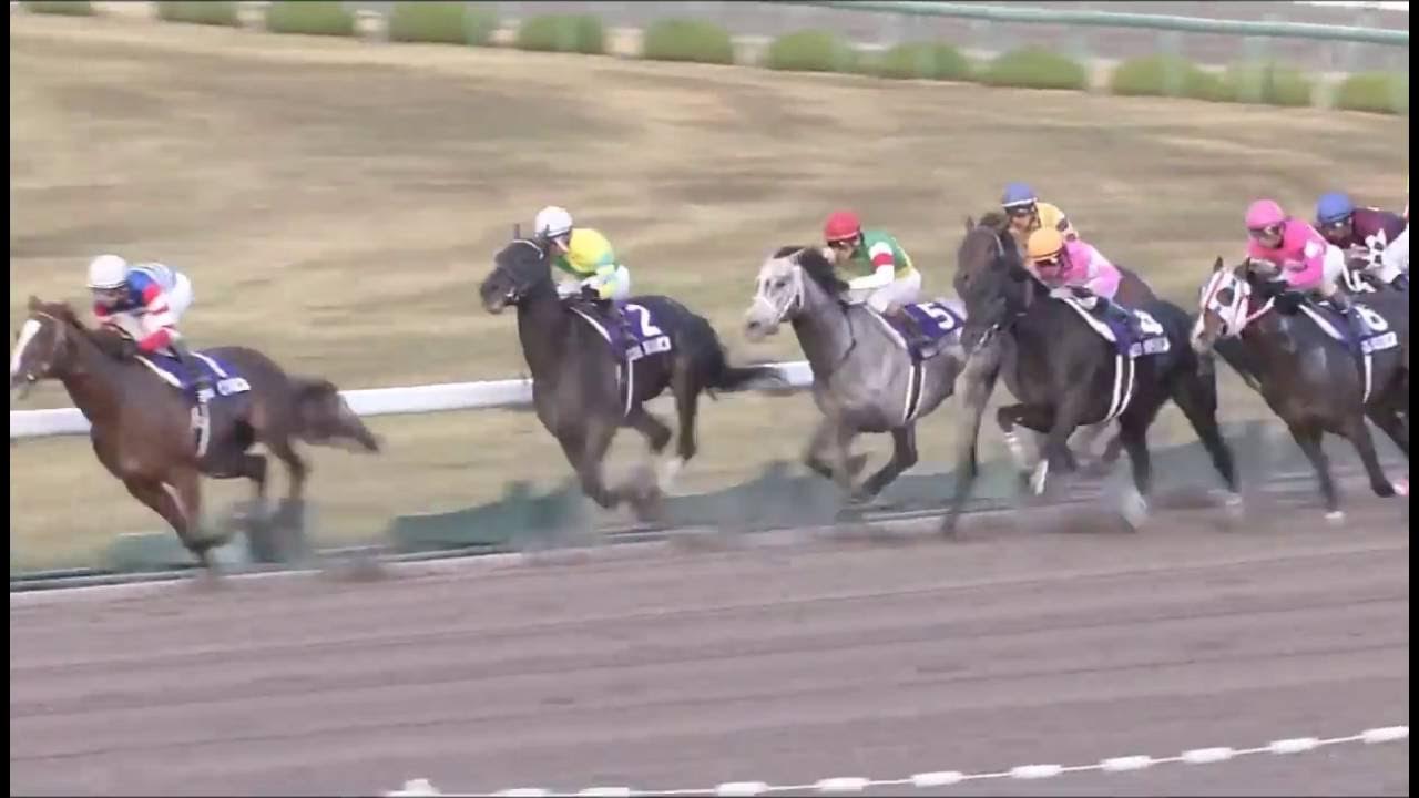 第10回ジャパンカップダート（GI）2009/12/6 エスポワールシチー3.5馬身差の圧勝！ YouTube