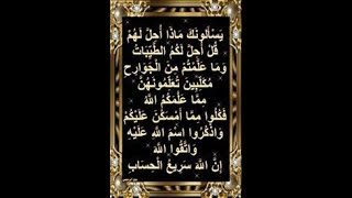 يَسْـَٔلُونَكَ مَاذَآ أُحِلَّ لَهُمْۖ قُلُ ا۟حِلَّ لَكُمُ اُ۬لطَّيِّبَٰتُ 4