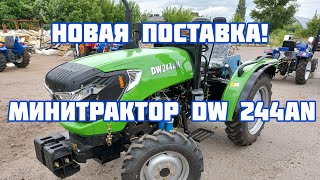 :         Dw 244 AN  