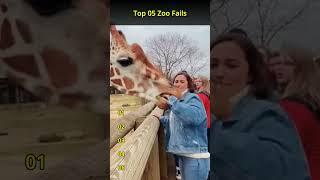 Top 5 Zoo Fails 😂  #comedy #funny #top5